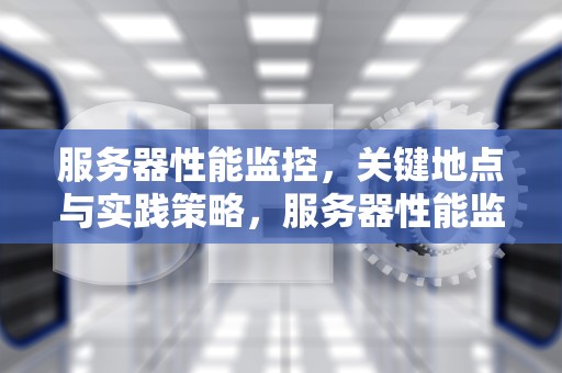 服务器性能监控，关键地点与实践策略，服务器性能监控地点在哪