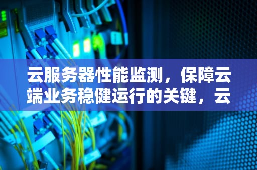 云服务器性能监测，保障云端业务稳健运行的关键，云服务器性能监测软件