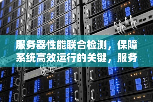 服务器性能联合检测，保障系统高效运行的关键，服务器性能联合检测什么意思