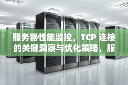 服务器性能监控，TCP 连接的关键洞察与优化策略，服务器性能监控系统