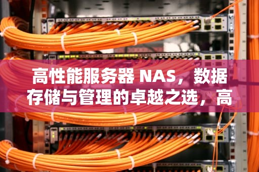 高性能服务器 NAS，数据存储与管理的卓越之选，高性能服务器多少钱