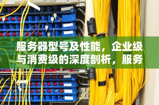 服务器型号及性能，企业级与消费级的深度剖析，服务器型号及性能参数