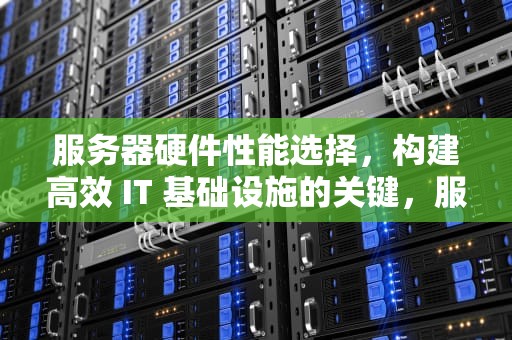 服务器硬件性能选择，构建高效 IT 基础设施的关键，服务器硬件性能选择哪个