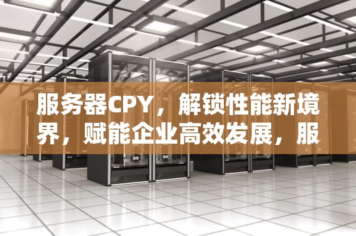 服务器CPY，解锁性能新境界，赋能企业高效发展，服务器提高性能