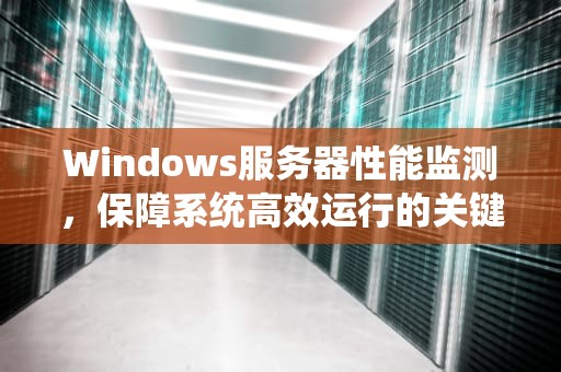Windows服务器性能监测，保障系统高效运行的关键，服务器性能测试命令