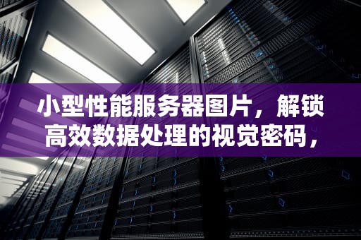 小型性能服务器图片，解锁高效数据处理的视觉密码，小型性能服务器图片大全