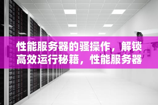 性能服务器的骚操作，解锁高效运行秘籍，性能服务器演示视频