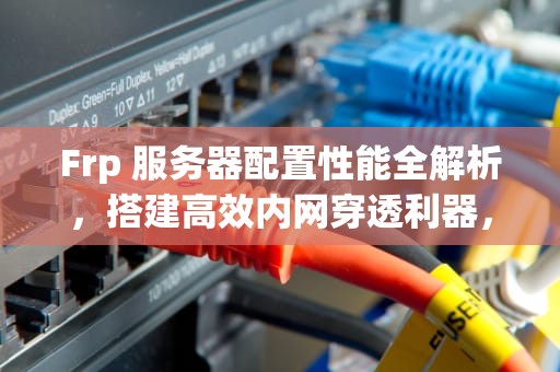Frp 服务器配置性能全解析，搭建高效内网穿透利器，frp 服务器