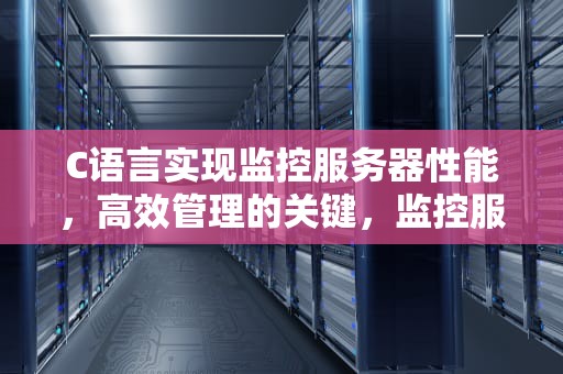 C语言实现监控服务器性能，高效管理的关键，监控服务器参数