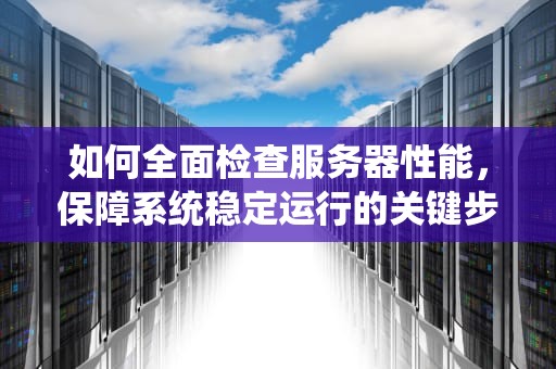 如何全面检查服务器性能，保障系统稳定运行的关键步骤，如何检查服务器性能参数
