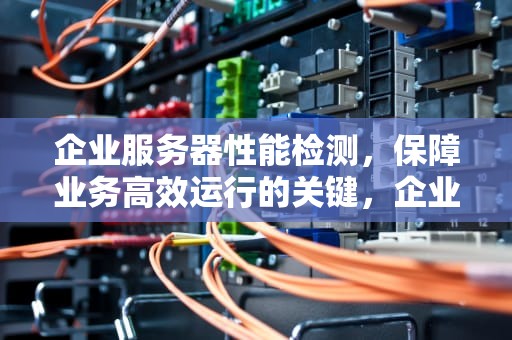 企业服务器性能检测，保障业务高效运行的关键，企业服务器性能检测报告