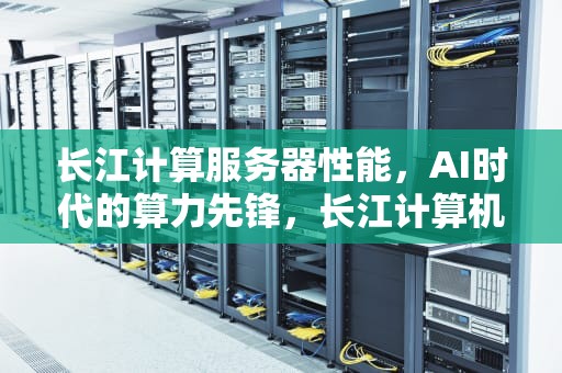长江计算服务器性能，AI时代的算力先锋，长江计算机公司