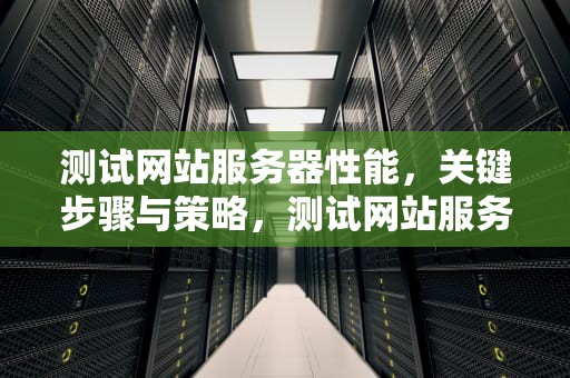 测试网站服务器性能，关键步骤与策略，测试网站服务器性能的软件