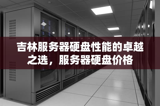 吉林服务器硬盘性能的卓越之选，服务器硬盘价格