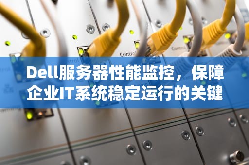Dell服务器性能监控，保障企业IT系统稳定运行的关键，dell服务器监控软件