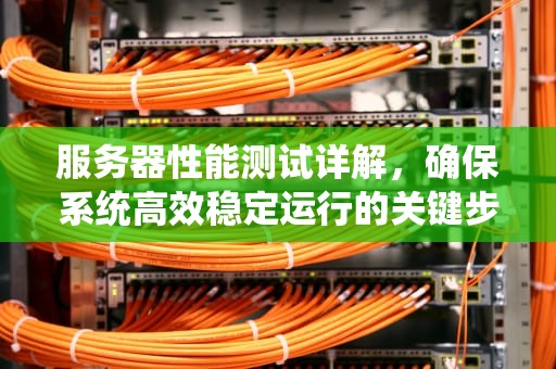 服务器性能测试详解，确保系统高效稳定运行的关键步骤，服务器性能测试详解图