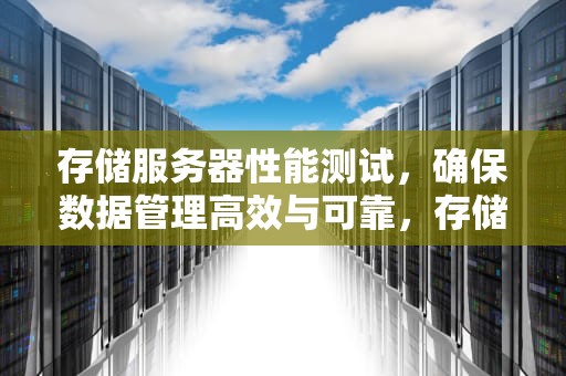 存储服务器性能测试，确保数据管理高效与可靠，存储服务器性能测试方法