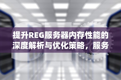 提升REG服务器内存性能的深度解析与优化策略，服务器内存reg什么意思