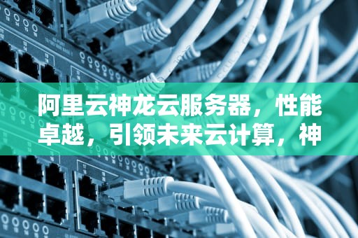 阿里云神龙云服务器，性能卓越，引领未来云计算，神龙云服务器性能怎么样
