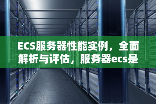 ECS服务器性能实例，全面解析与评估，服务器ecs是什么意思