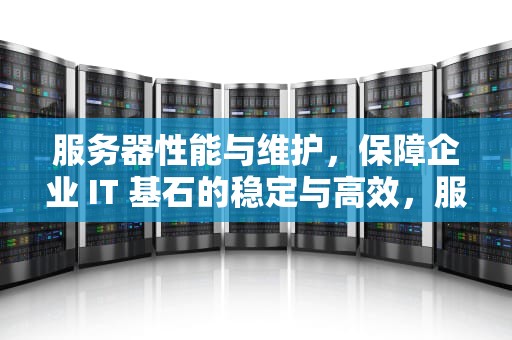 服务器性能与维护，保障企业 IT 基石的稳定与高效，服务器性能与维护的区别