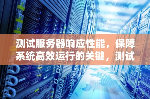 测试服务器响应性能，保障系统高效运行的关键，测试服务器响应性能的指令