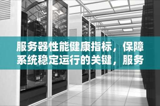 服务器性能健康指标，保障系统稳定运行的关键，服务器性能健康指标是什么
