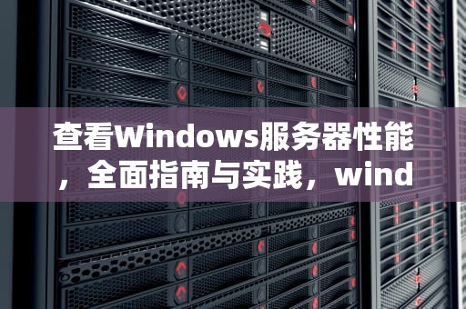 查看Windows服务器性能，全面指南与实践，windows查看服务器型号