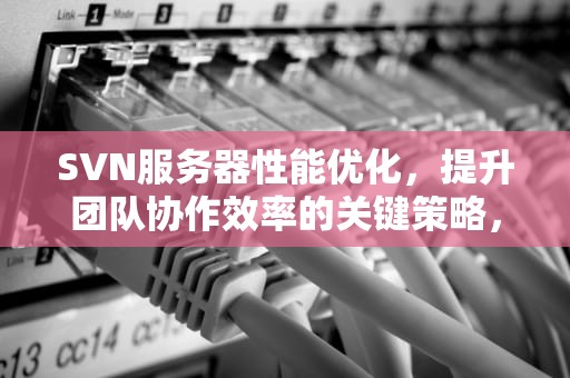 SVN服务器性能优化，提升团队协作效率的关键策略，svn服务器配置要求