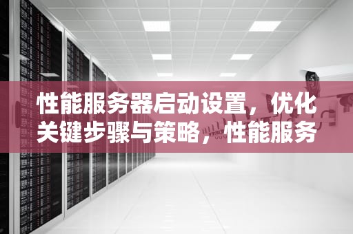 性能服务器启动设置，优化关键步骤与策略，性能服务器启动设置在哪