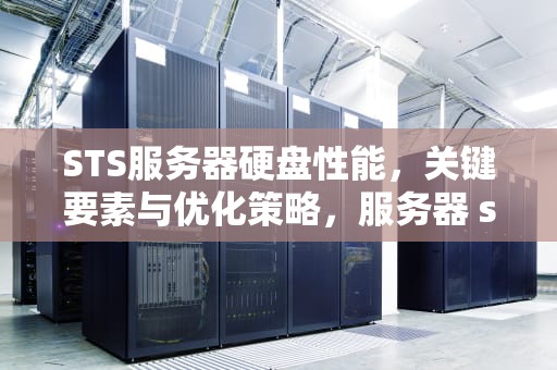 STS服务器硬盘性能，关键要素与优化策略，服务器 sata硬盘