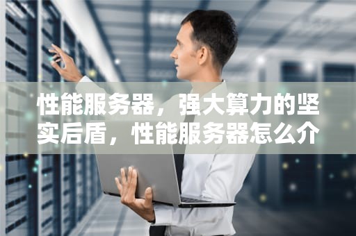 性能服务器，强大算力的坚实后盾，性能服务器怎么介绍的