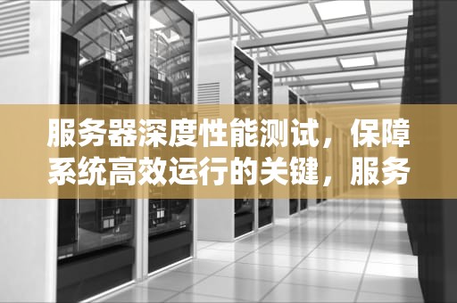 服务器深度性能测试，保障系统高效运行的关键，服务器深度性能测试方法