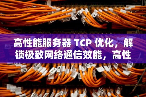 高性能服务器 TCP 优化，解锁极致网络通信效能，高性能服务器多少钱