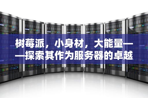 树莓派，小身材，大能量——探索其作为服务器的卓越性能，树莓派做服务器性能怎么样