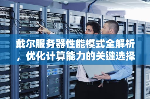 戴尔服务器性能模式全解析，优化计算能力的关键选择，戴尔服务器性能模式怎么设置