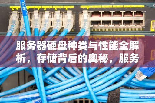 服务器硬盘种类与性能全解析，存储背后的奥秘，服务器硬盘种类性能排行