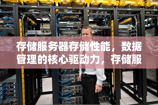 存储服务器存储性能，数据管理的核心驱动力，存储服务器存储性能指标