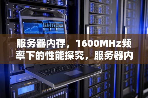 服务器内存，1600MHz频率下的性能探究，服务器内存1600性能怎么样