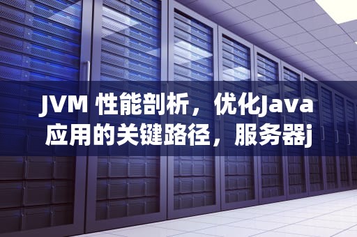JVM 性能剖析，优化Java应用的关键路径，服务器jvm参数设置