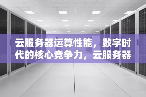 云服务器运算性能，数字时代的核心竞争力，云服务器运算性能指标