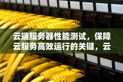 云端服务器性能测试，保障云服务高效运行的关键，云端服务器性能测试