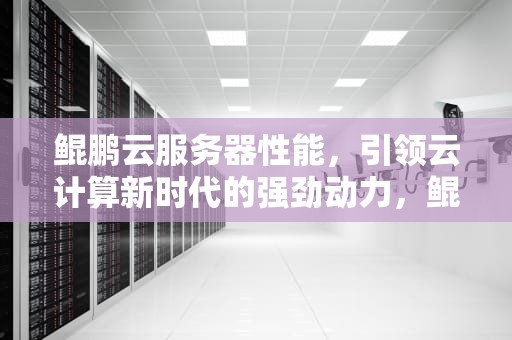 鲲鹏云服务器性能，引领云计算新时代的强劲动力，鲲鹏云服务器性能怎么样