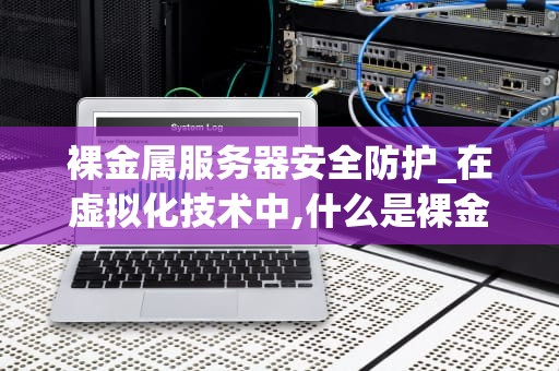 裸金属服务器安全防护_在虚拟化技术中,什么是裸金属架构_裸金属服务器安全防护的重要性及策略