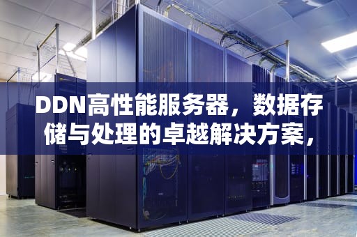 DDN高性能服务器，数据存储与处理的卓越解决方案，高性能服务器配置