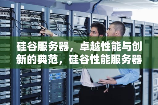 硅谷服务器，卓越性能与创新的典范，硅谷性能服务器介绍图