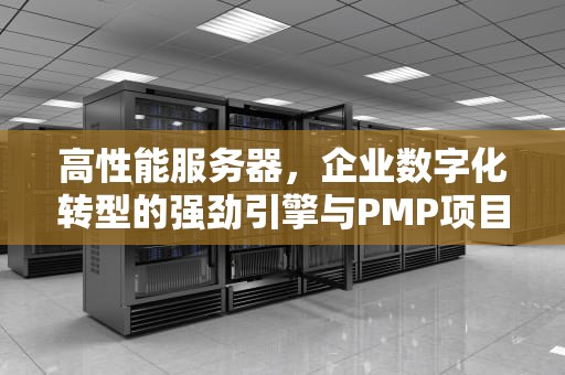 高性能服务器，企业数字化转型的强劲引擎与PMP项目管理的实践应用，高性能服务器多少钱