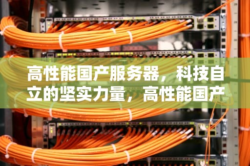 高性能国产服务器，科技自立的坚实力量，高性能国产服务器 安全测试实验室