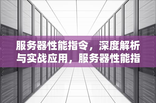 服务器性能指令，深度解析与实战应用，服务器性能指令有哪些