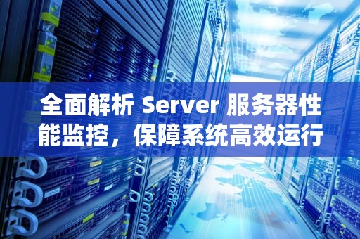 全面解析 Server 服务器性能监控，保障系统高效运行的关键，服务器性能监控命令